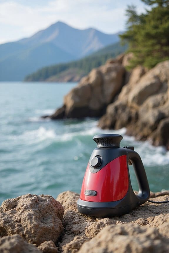 compact and efficient steamers